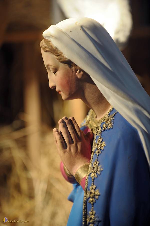 Nom de l'image : D30043112_1_(c)Norbert-JUNG — Description :